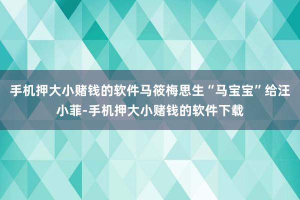 手机押大小赌钱的软件马筱梅思生“马宝宝”给汪小菲-手机押大小赌钱的软件下载