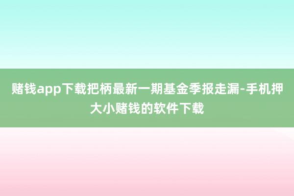 赌钱app下载把柄最新一期基金季报走漏-手机押大小赌钱的软件下载