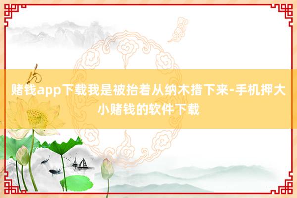 赌钱app下载我是被抬着从纳木措下来-手机押大小赌钱的软件下载