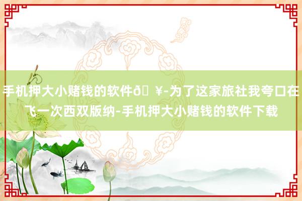 手机押大小赌钱的软件🥭为了这家旅社我夸口在飞一次西双版纳-手机押大小赌钱的软件下载