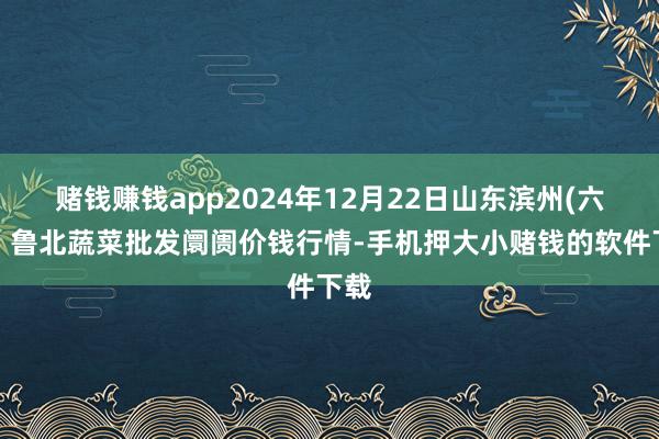 赌钱赚钱app2024年12月22日山东滨州(六街）鲁北蔬菜批发阛阓价钱行情-手机押大小赌钱的软件下载