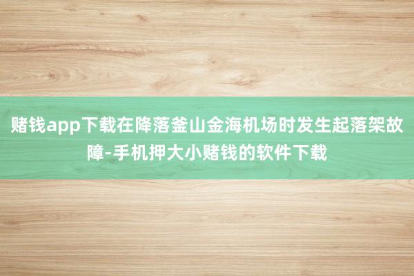 赌钱app下载在降落釜山金海机场时发生起落架故障-手机押大小赌钱的软件下载