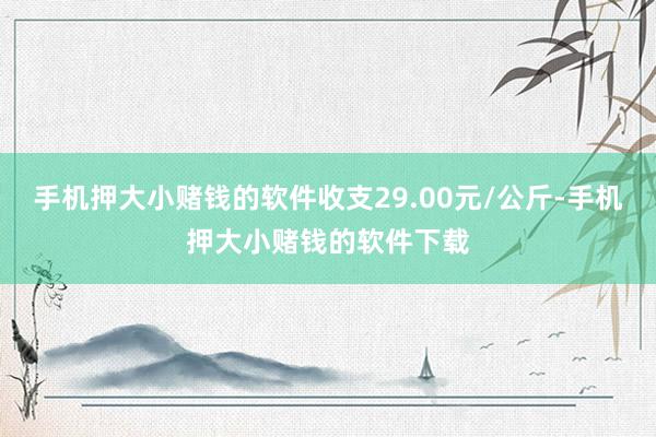 手机押大小赌钱的软件收支29.00元/公斤-手机押大小赌钱的软件下载